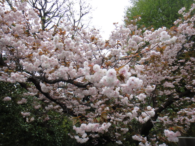 f0036857_17393577.jpg
