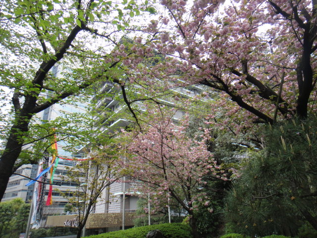 f0036857_1739623.jpg