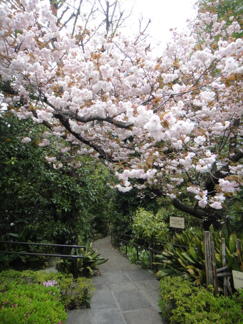 f0036857_1740369.jpg