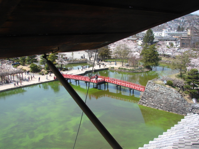 のあ404 春を見つける夫婦旅(!?)_b0061261_21563755.jpg