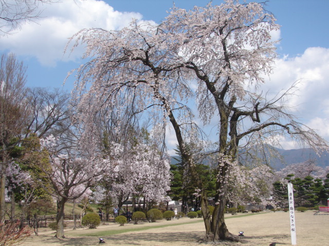 のあ404 春を見つける夫婦旅(!?)_b0061261_22771.jpg