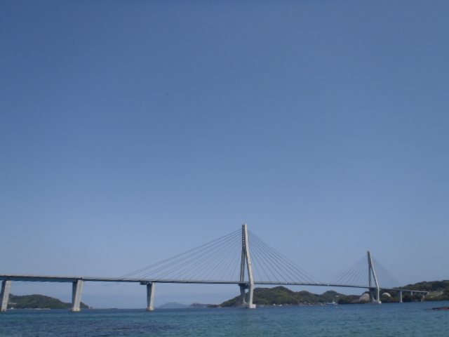 青バイ隊訓練_a0077071_1618669.jpg