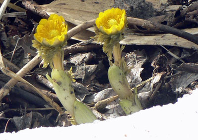 f0083977_15232342.jpg