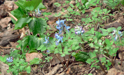 f0083977_22113411.jpg