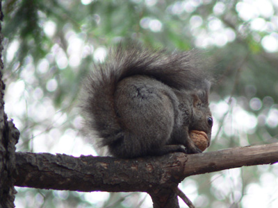 f0083977_22132481.jpg