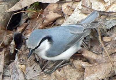 f0083977_22145899.jpg