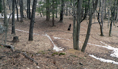 f0083977_2263254.jpg