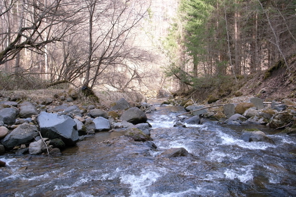 f0124378_21113010.jpg