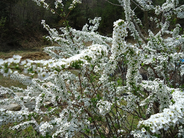 a0199979_12393169.jpg