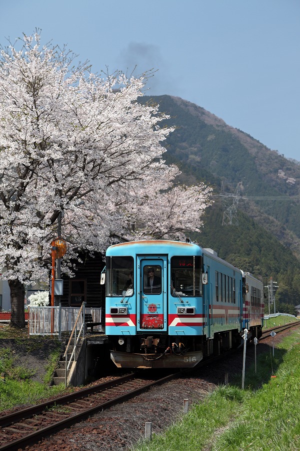 樽見鉄道_e0244181_222459.jpg