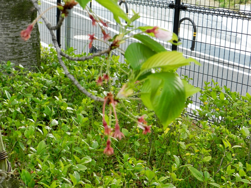 c0212783_414185.jpg
