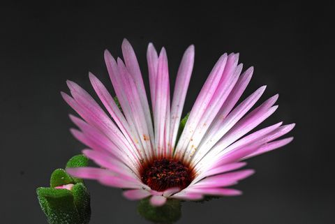 a0240085_12263896.jpg