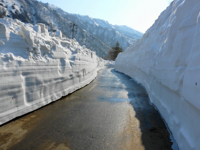 大雪の記録－2