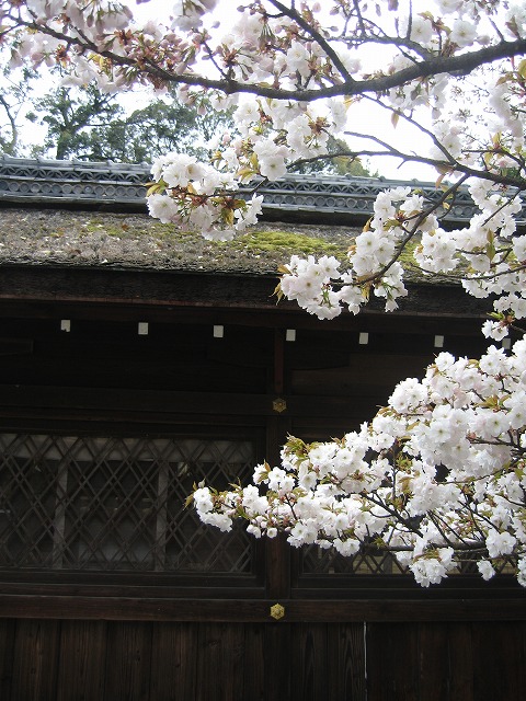 c0087094_1644837.jpg