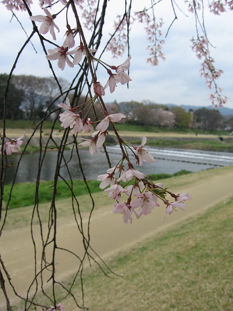 c0087094_2119531.jpg