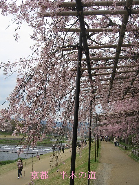 c0087094_216193.jpg