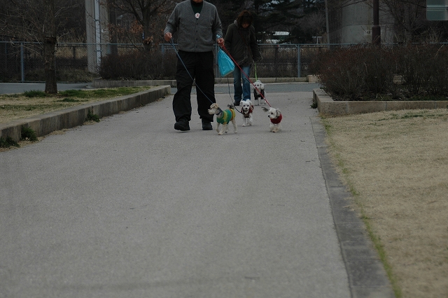 春の旅行　湯川ふるさと公園_b0211198_22382844.jpg