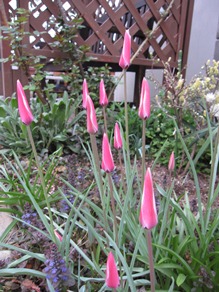 c0117898_15291690.jpg