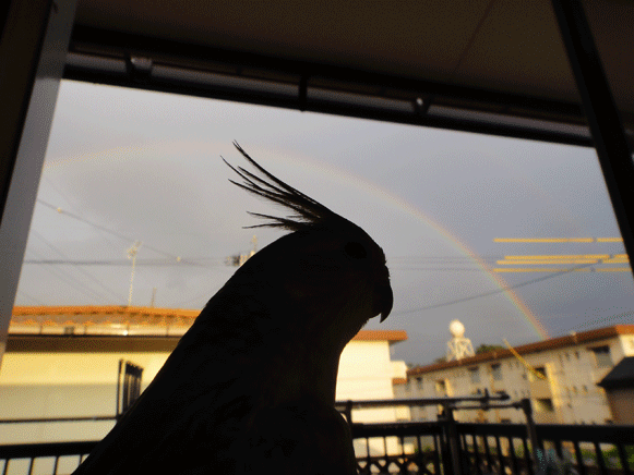 b0240299_13423944.gif