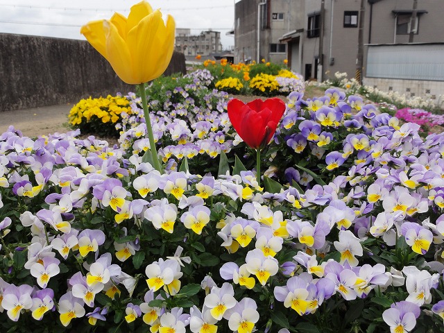 c0125501_23395318.jpg