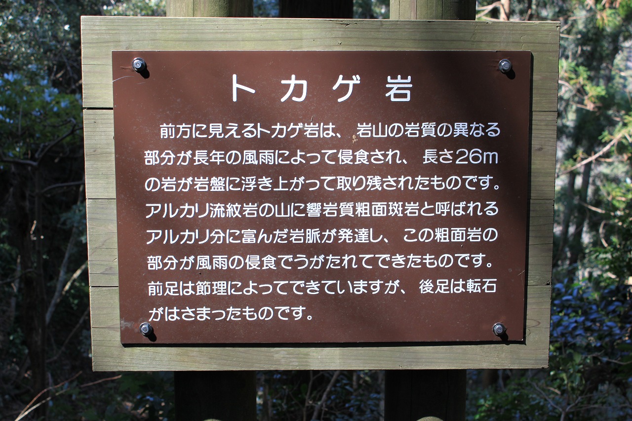 e0205502_1935398.jpg