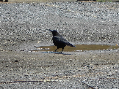 b0147203_22311322.jpg