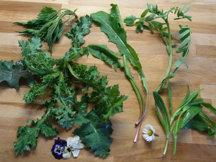 野草花のフライ☆ Erba di campo_b0246303_22383117.jpg
