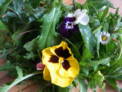 野草花のフライ☆ Erba di campo_b0246303_22391829.jpg