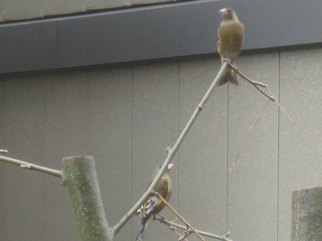 f0202703_23103428.jpg