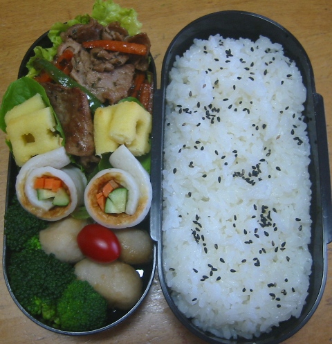 サラ弁＆ＳＭＧ弁当_a0211008_1850314.jpg