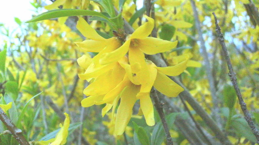 d0238608_12272879.jpg