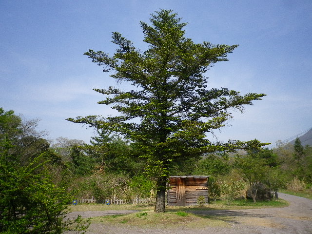 黄砂_e0179508_14481581.jpg
