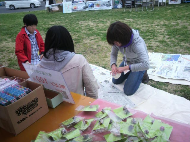 f0024708_337630.jpg