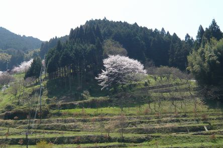 f0221708_17192687.jpg