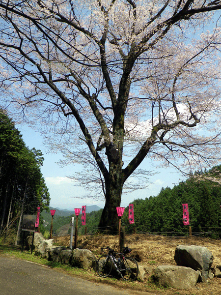 b0000209_17301634.gif