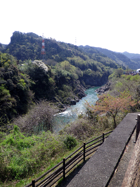 b0000209_17425473.gif