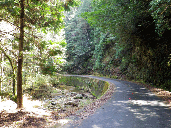 b0000209_1749051.gif