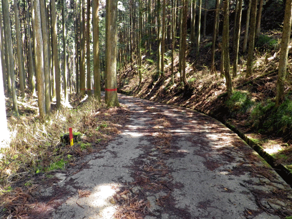 b0000209_17522568.gif
