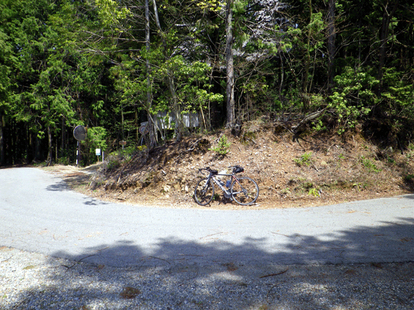 b0000209_17571792.gif