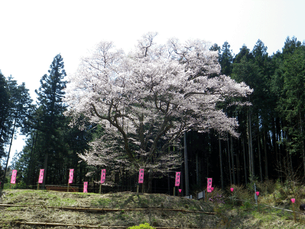 b0000209_18131624.gif