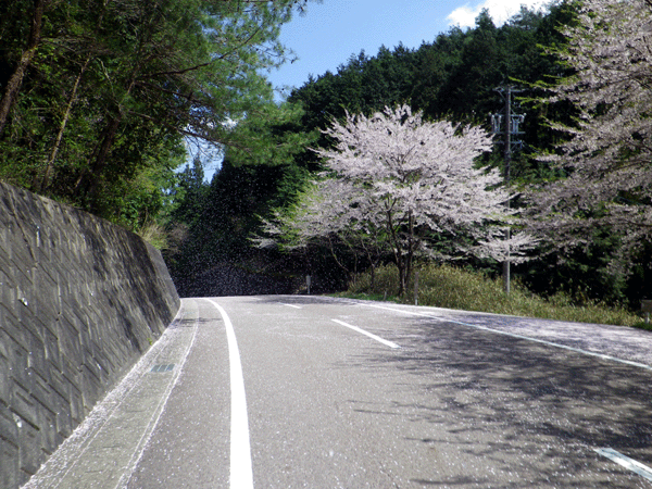 b0000209_18243952.gif
