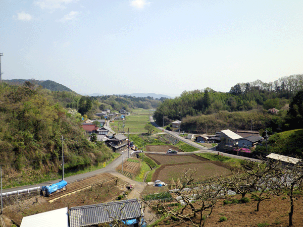 b0000209_18325594.gif