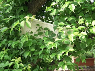 e0271409_21305622.jpg