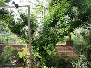 e0271409_2137280.jpg