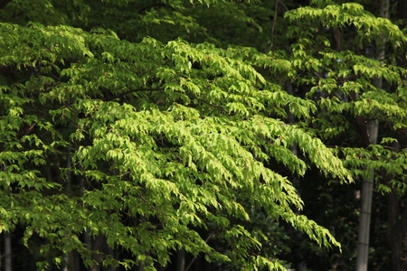 f0186509_20235252.jpg