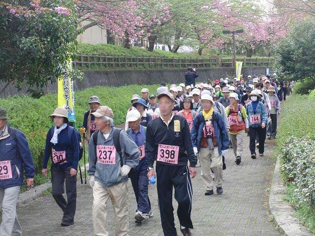 新緑の茶畑を楽しむ「第34回 富士ふれあいウォーク」_f0141310_7493513.jpg
