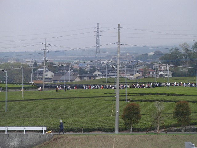 新緑の茶畑を楽しむ「第34回 富士ふれあいウォーク」_f0141310_750174.jpg