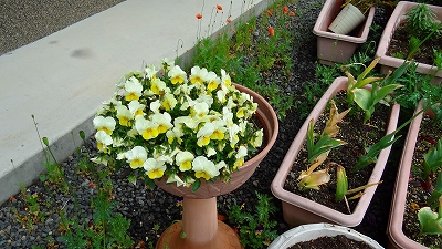 e0238112_7423233.jpg