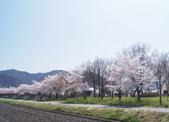 f0233414_2315501.jpg