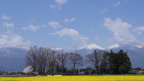 f0233414_2364961.jpg